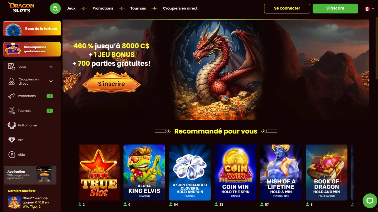 Types de jeux proposés sur les plateformes Interac casino